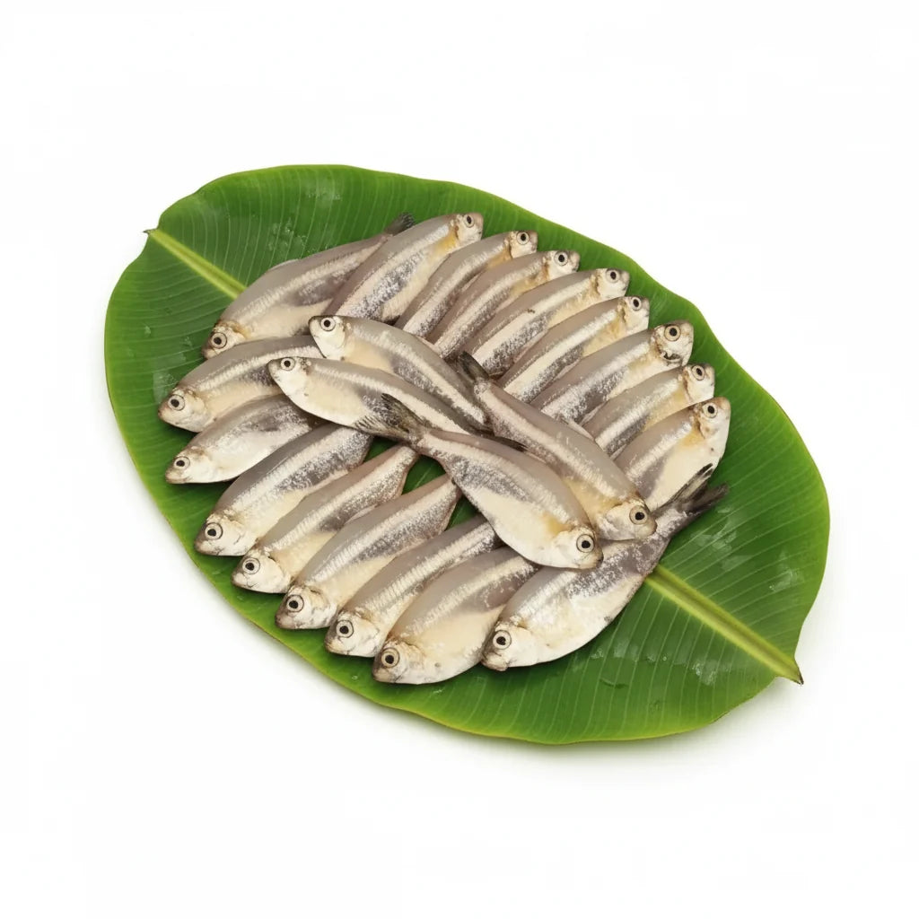 Sada Mourola - 150 Gm Net Weight -Cut and Cleaned