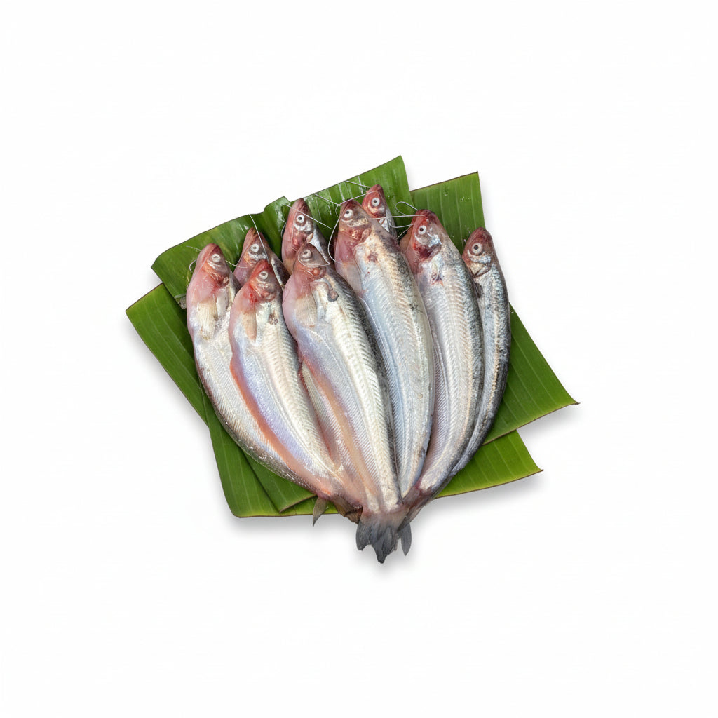 Pabda - Big Size - 500 Gm Gross - Cut & Cleaned