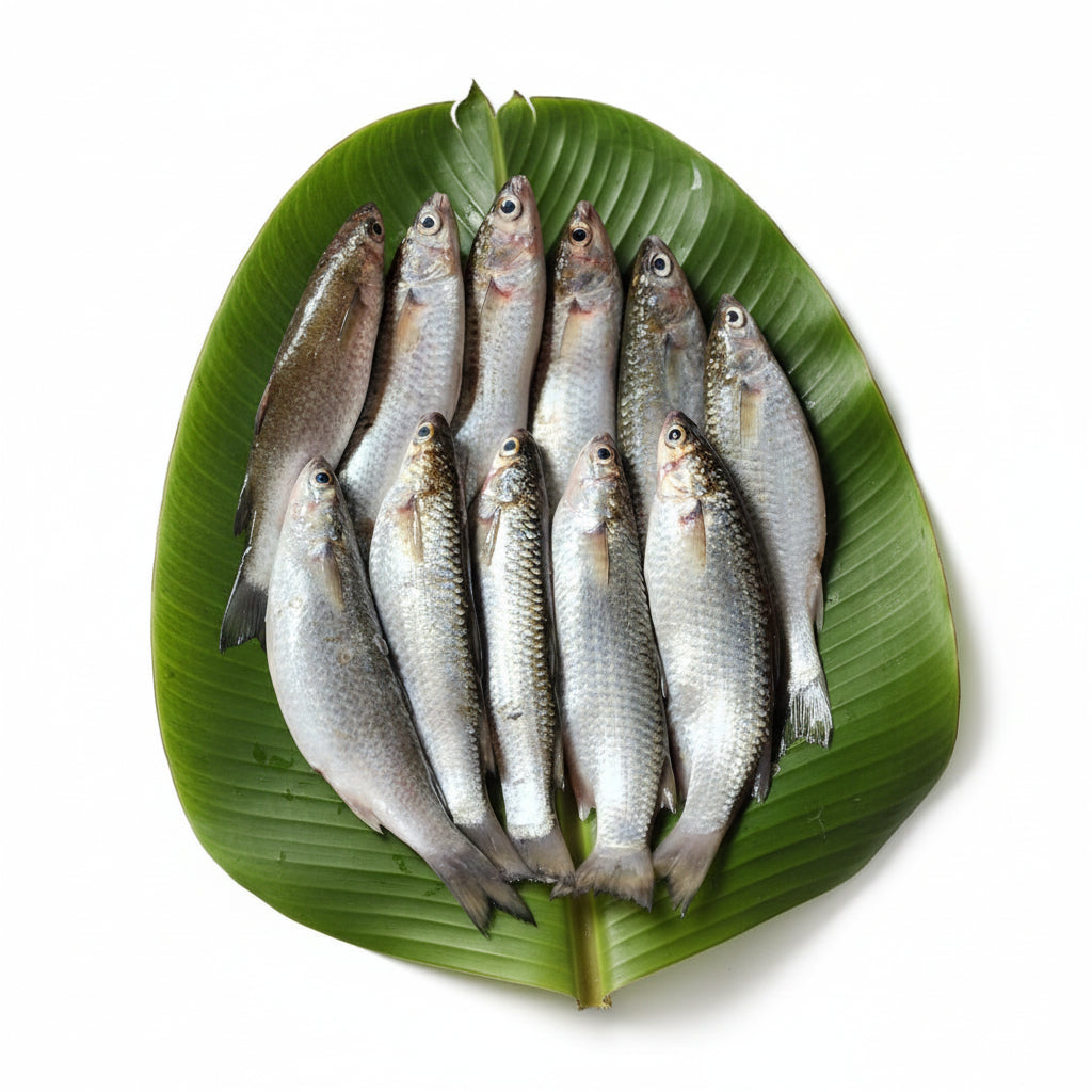 Kolkata Desi Parshe (Sea)- Medium - Cut & Cleaned - 220 - 250 Gm Gross Wt