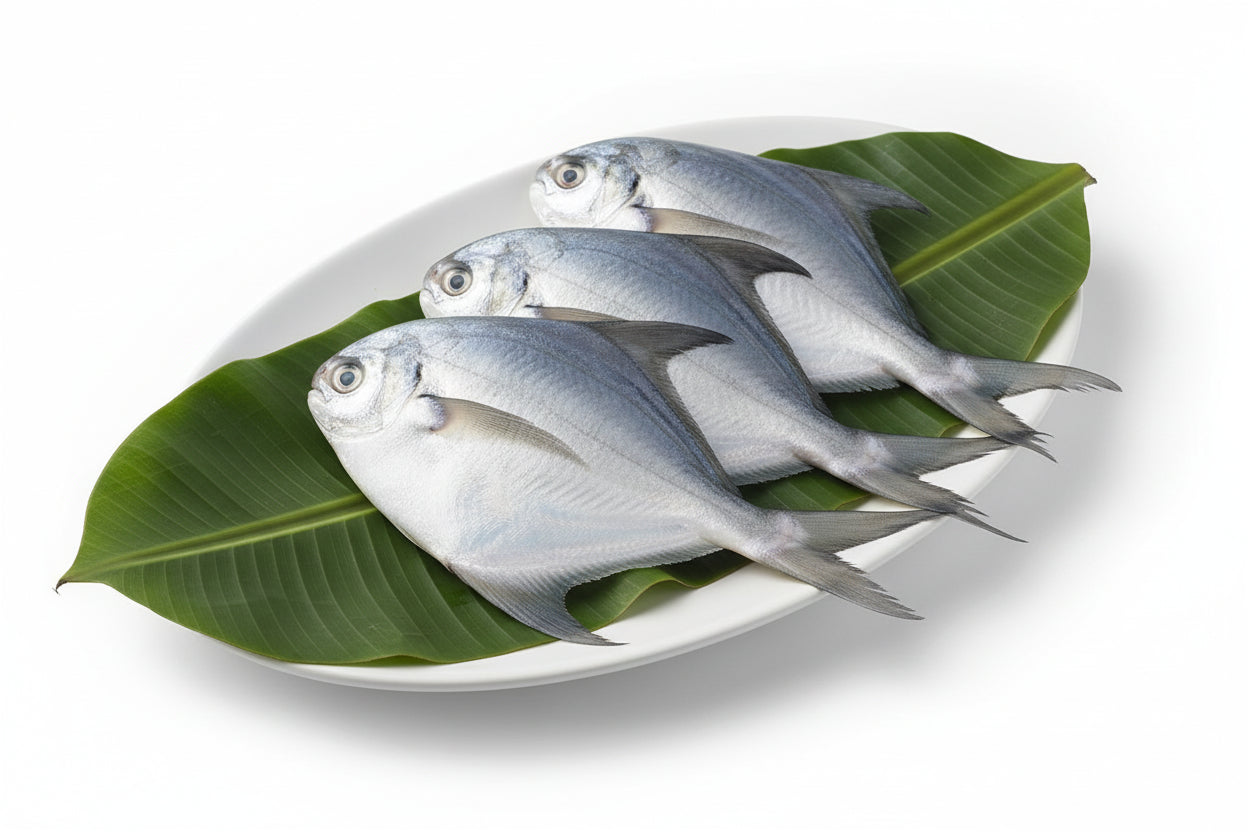 Pomfret - Big - 2 Pc - 320-350 Gm Gross - Cut & Cleaned