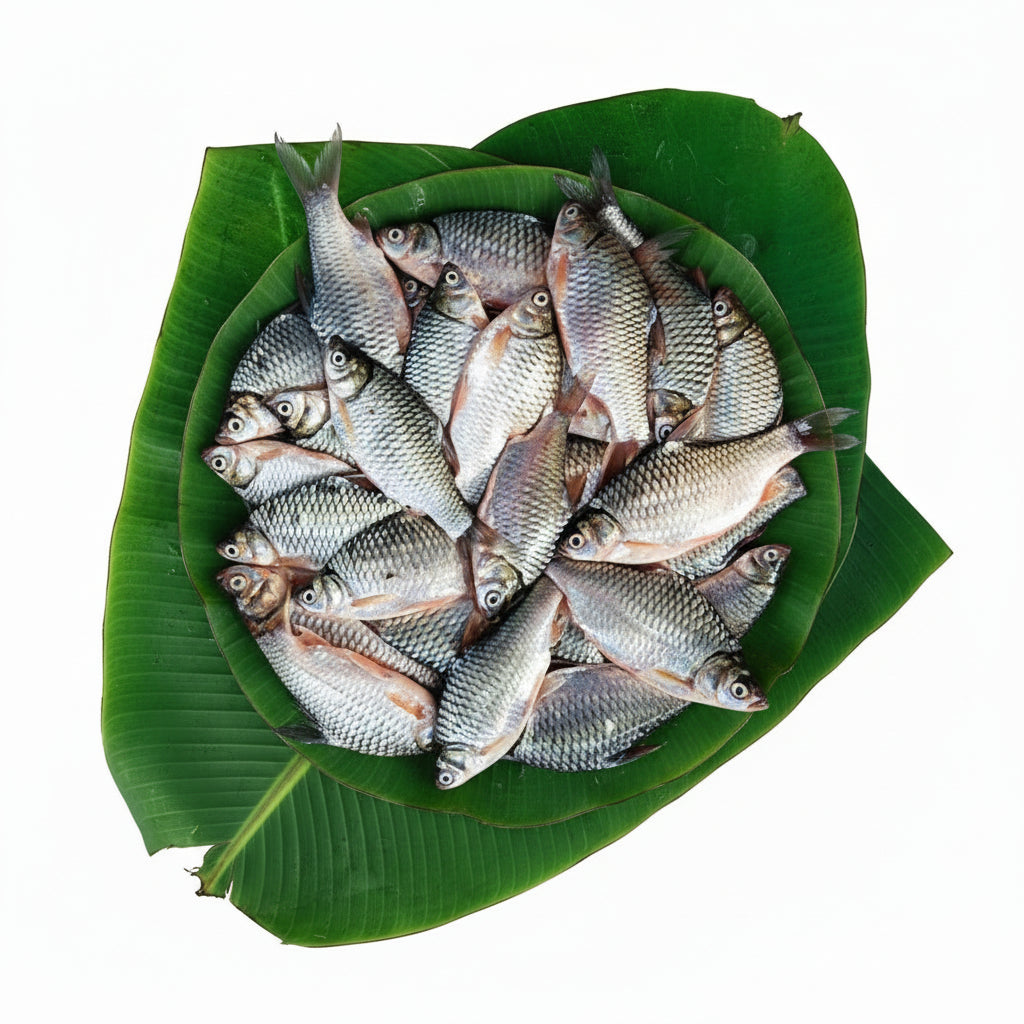 Sorputti Japani Putti -Medium Size -400 gm Pack -Gross Wt -Cut and Cleaned