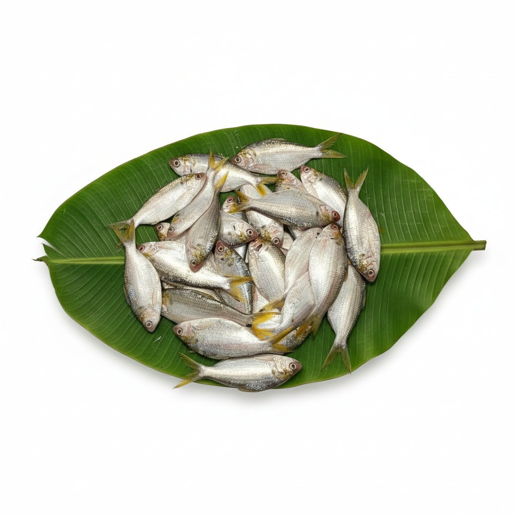 Khoira (Medium) – 250 g Net Wt - Cleaned