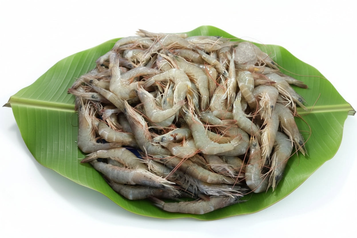 Deshi Chapra Chingri (Medium) 230-250 gm Net Wt - Uncut
