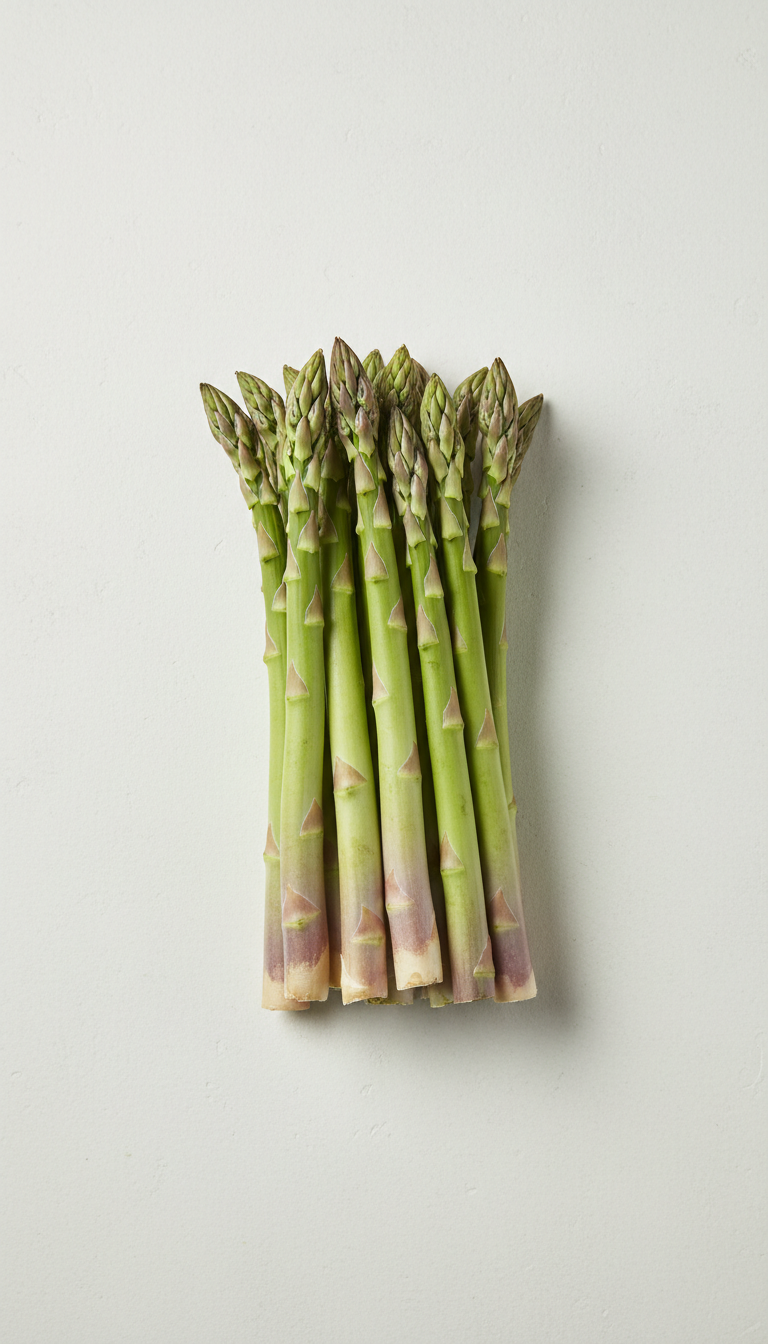 Organic asparagus bundle freshly harvested