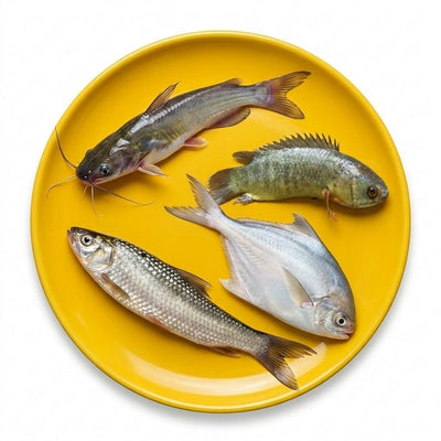 Fresh Fish (Small & Sea )