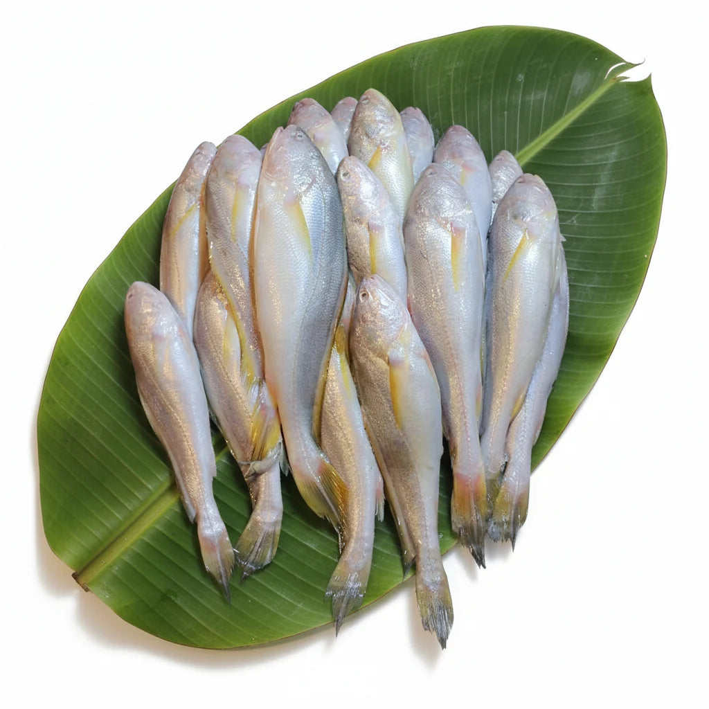 Sada Bhola - Cut & Cleaned (240-270gm) Gross Weight