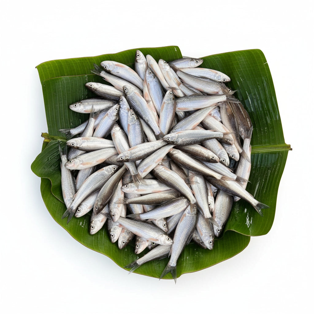 Kolkata Pond Bata Fish -Medium - 200 Gm Gross Wt - Cut & Cleaned