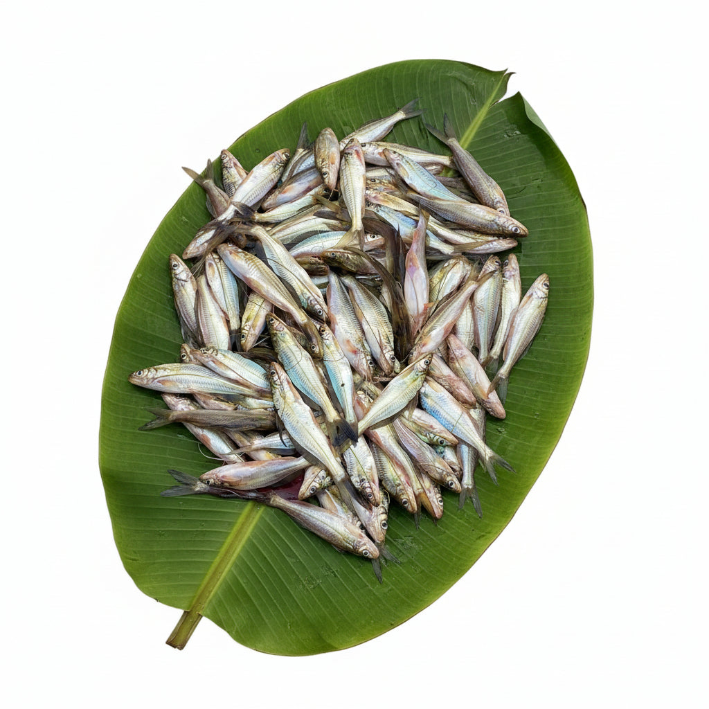 Sada Tyangra - Jumbo - 220-250 Gm Gross - Cleaned
