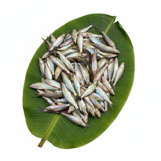 Sada Tyangra - Jumbo - 220-250 Gm Gross - Cleaned