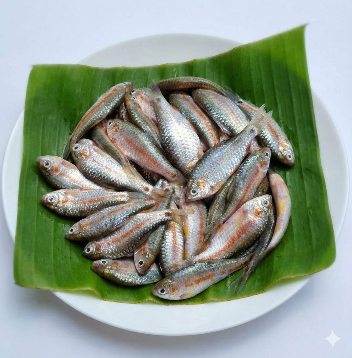 Deshi Puti Maach Big-100 gm Grossweight -Cut and Cleaned