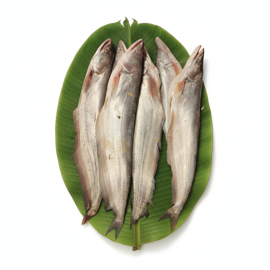 Nodir Boal - Whole - 500 Gm - 600 Gm Fish - Ring Piece Cut
