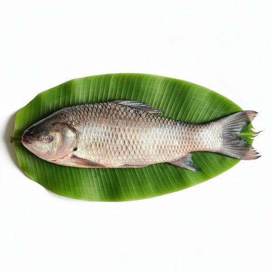 Rohu (2 - 2.5 kg) – Bengali Peti Gada Cut -500gm Gross weight -Without head & Tail