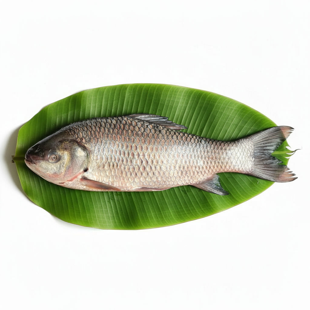Bilaspur River Rohu (2.5 - 3.5 kg) – Peti gada Cut -450-480 gm Net wt