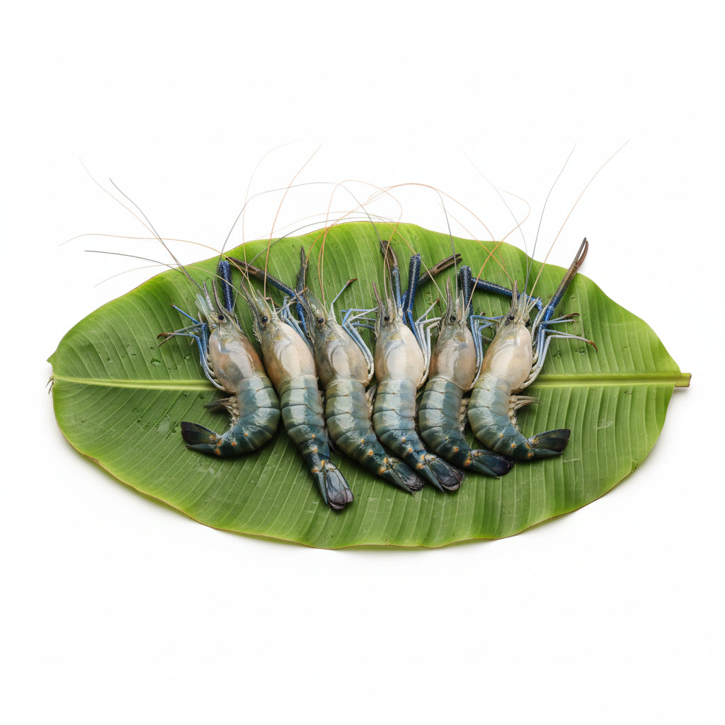 Golda Chingri (medium) - Cut & Cleaned  -  350 Gm Gross Wt Pack
