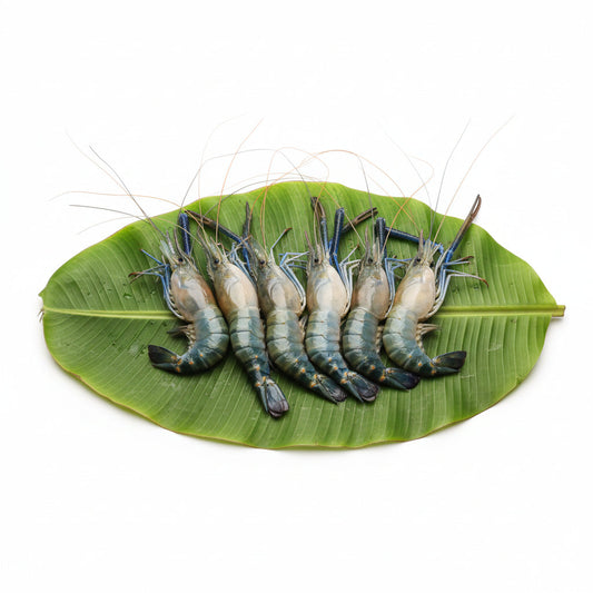 Big Golda Chingri Big - Cut & Cleaned  - Gross Weight 500 gm