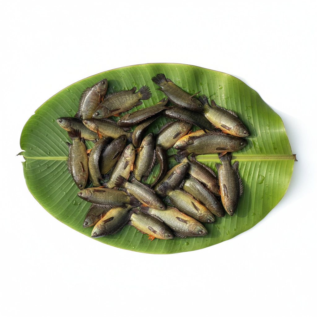 Desi Koi - Mix size - 220 Gm - 250 Gm Net Gross. -Cleaned