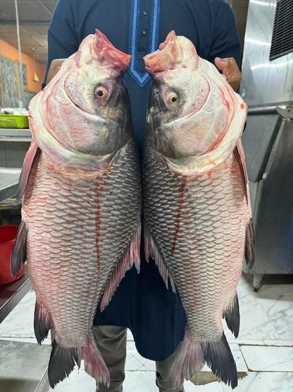 Bilaspur Katla - 3 Kg -5 Kg Fish - Peti & Gada Pack - W/o Head & Tail - 500 Gm Gross Wt