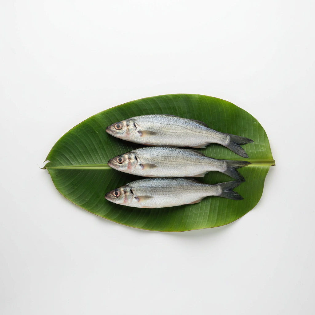 Charapona (Rui/Mrigel) - 350 Gm Gross Wt - Cut & Cleaned