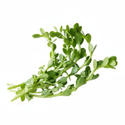 Brahmi Saag (1 Bunch)